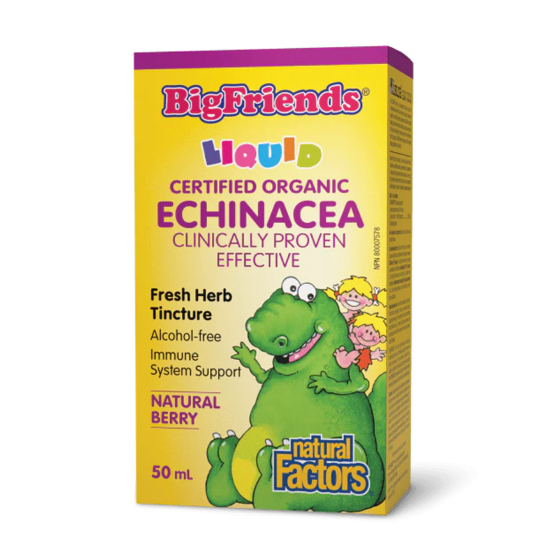 bigfriends-echinacea-alcohol-free-fresh-herb-tincture-for-kids-50-ml-33706631511350_2c4616f42c BigFriends Echinacea Alcohol-Free Fresh Herb Tincture for Kids - 50 ml - Зображення 1