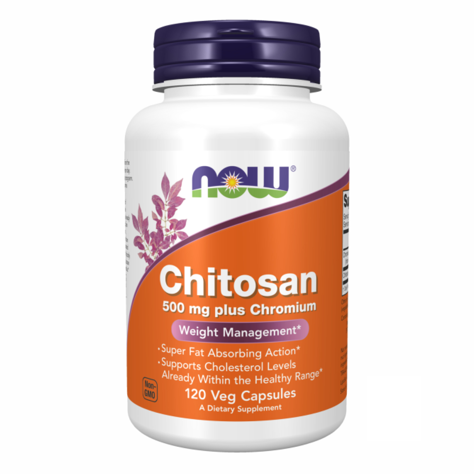 chitosan-120caps-97511207356506_ca0cb8e6e1 Chitosan - 120caps - Зображення 1
