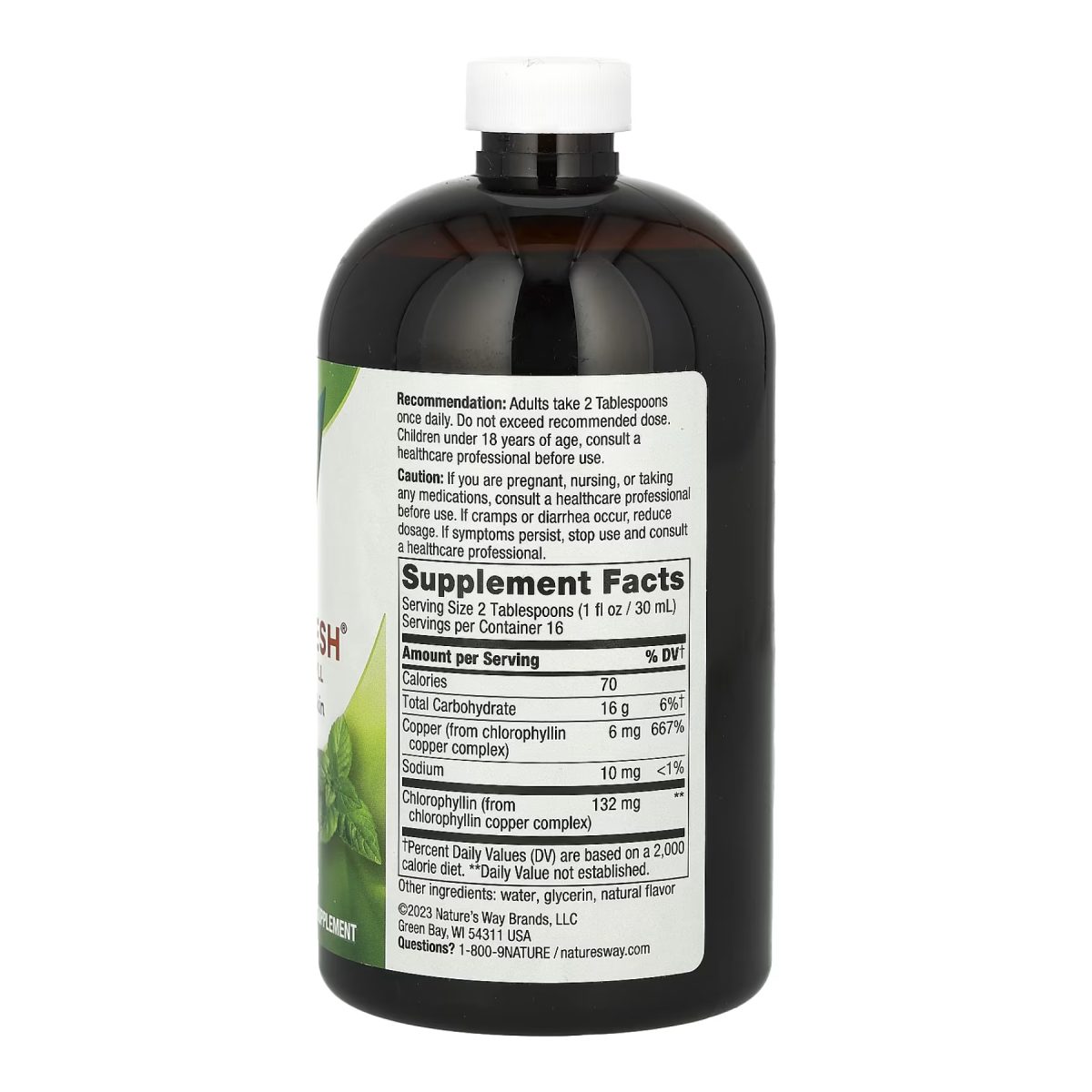 Chlorofresh® Liquid - 16 oz Mint - Зображення 2