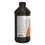 Chlorophyll Liquid Mint - 16 oz - Зображення 3
