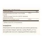 SFP Ginkgo Biloba Leaf Extract - 180 vcaps - Зображення 2